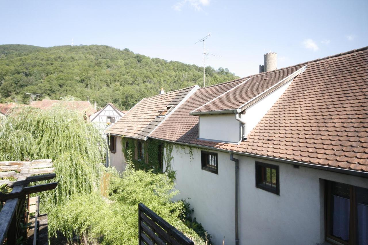 Appartement Le Keiler Kaysersberg-Vignoble ภายนอก รูปภาพ